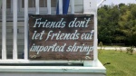 friends don't let friends eat imported shrimp